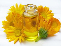 calendula oil and flowers