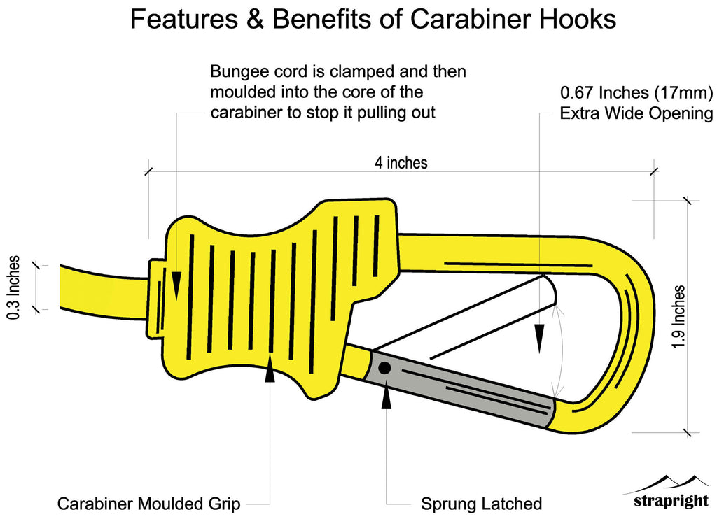 60 inch bungee cord