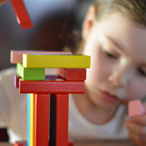 cool guppy wooden toys