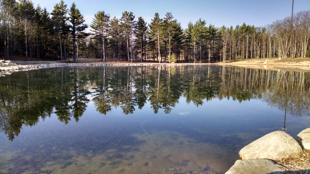 Mid-Michigan Ponds