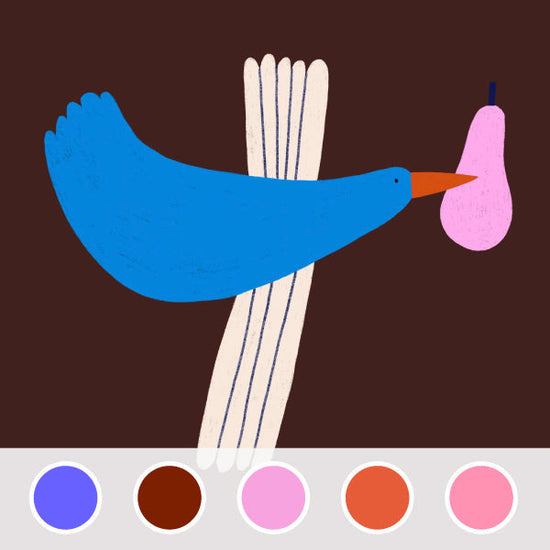 bird illustration and colour palette