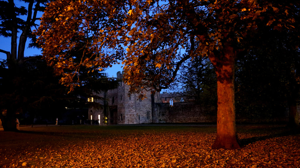 bishops palace wells