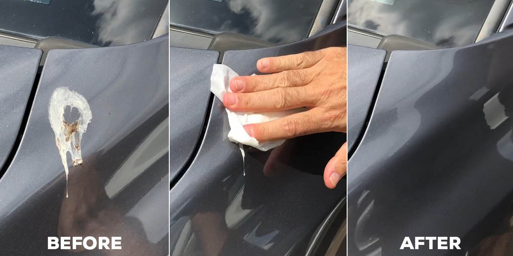 Best Car Wipes to remove Bird Poop Droppings & Bug Splats - Drop Wipes ...