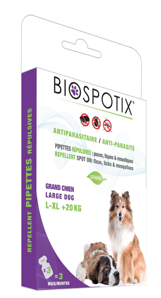 Anti Puce Chien Anti Tiques En Pipette Antiparasitaire Pour Chat Quels Anti Puce Et Anti Tique