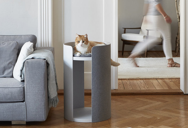 Arbre A Chat Design Torre