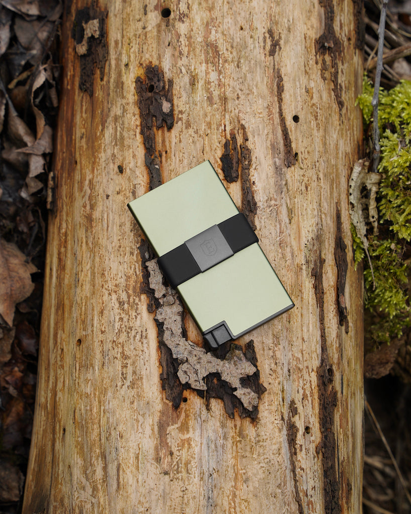 green aluminum wallet on a tree