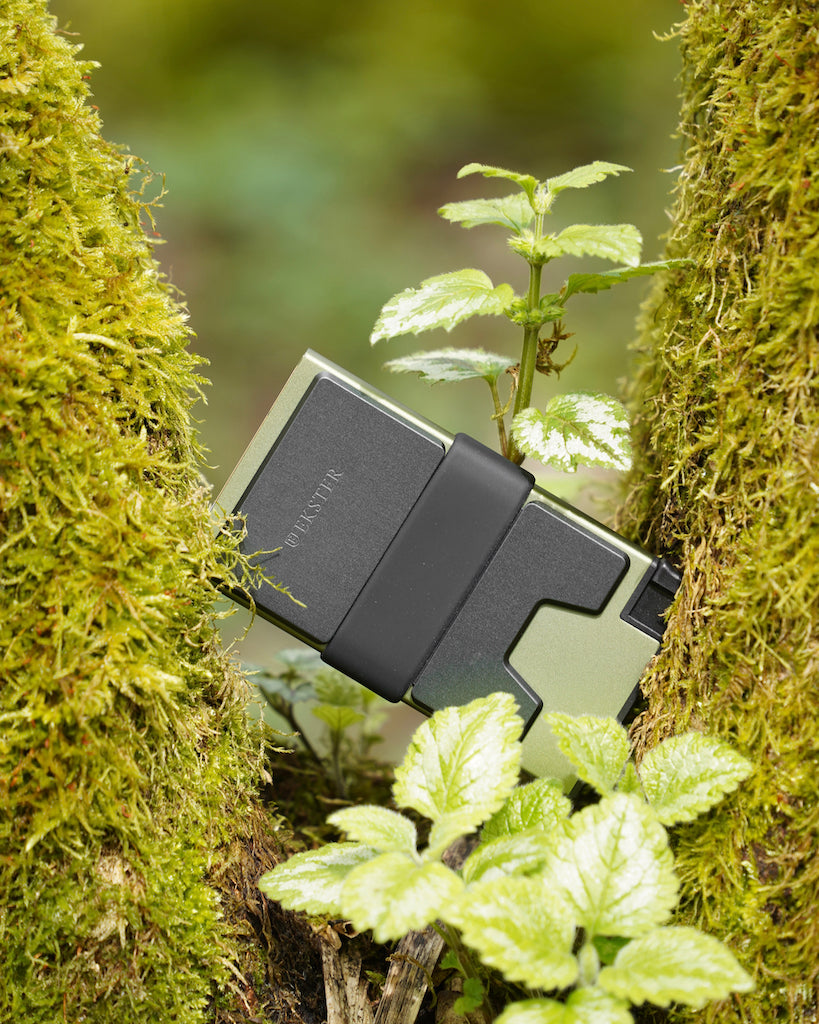 green aluminum wallet in a tree