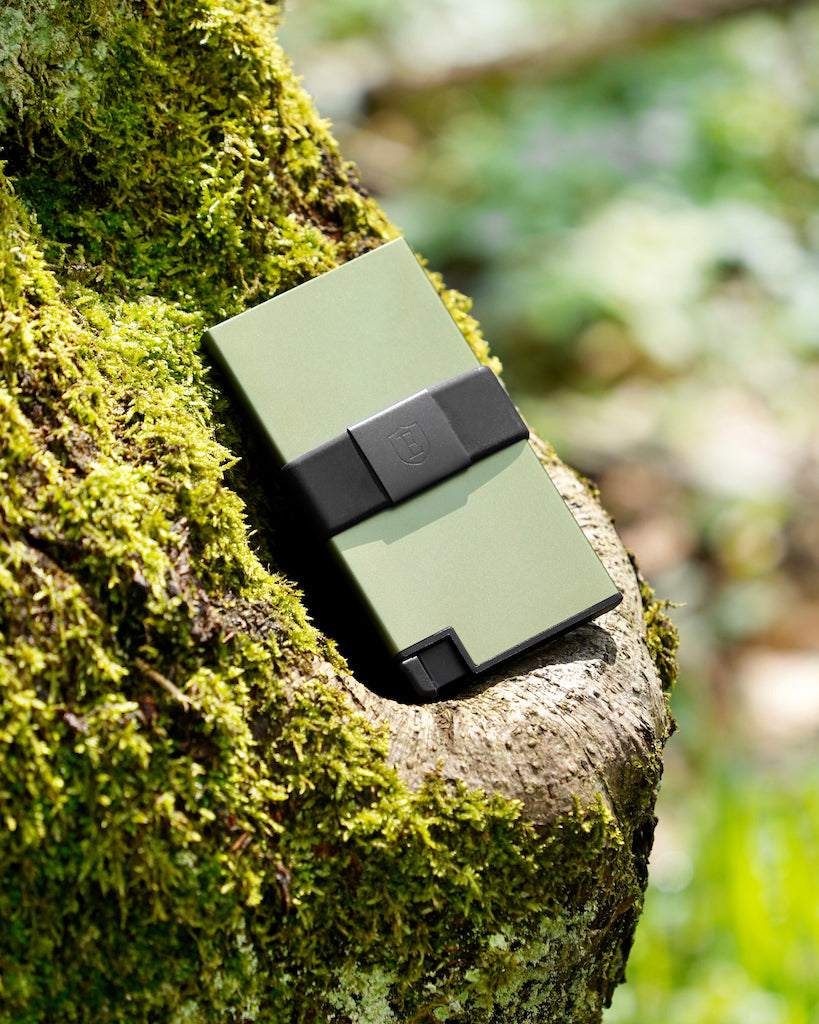 green aluminum wallet in a tree 