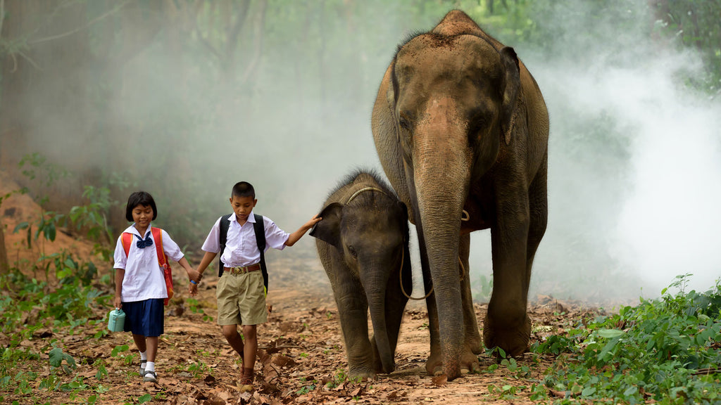 Two children walking an elephant