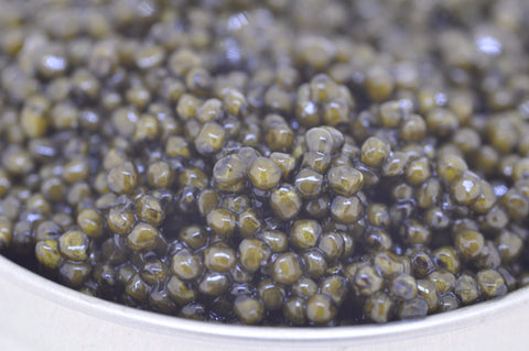 caviar paddlefish 1lb