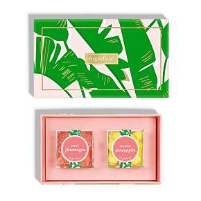 Paradise Oranges Bento Box by Danica Jubilee – Gretel Home