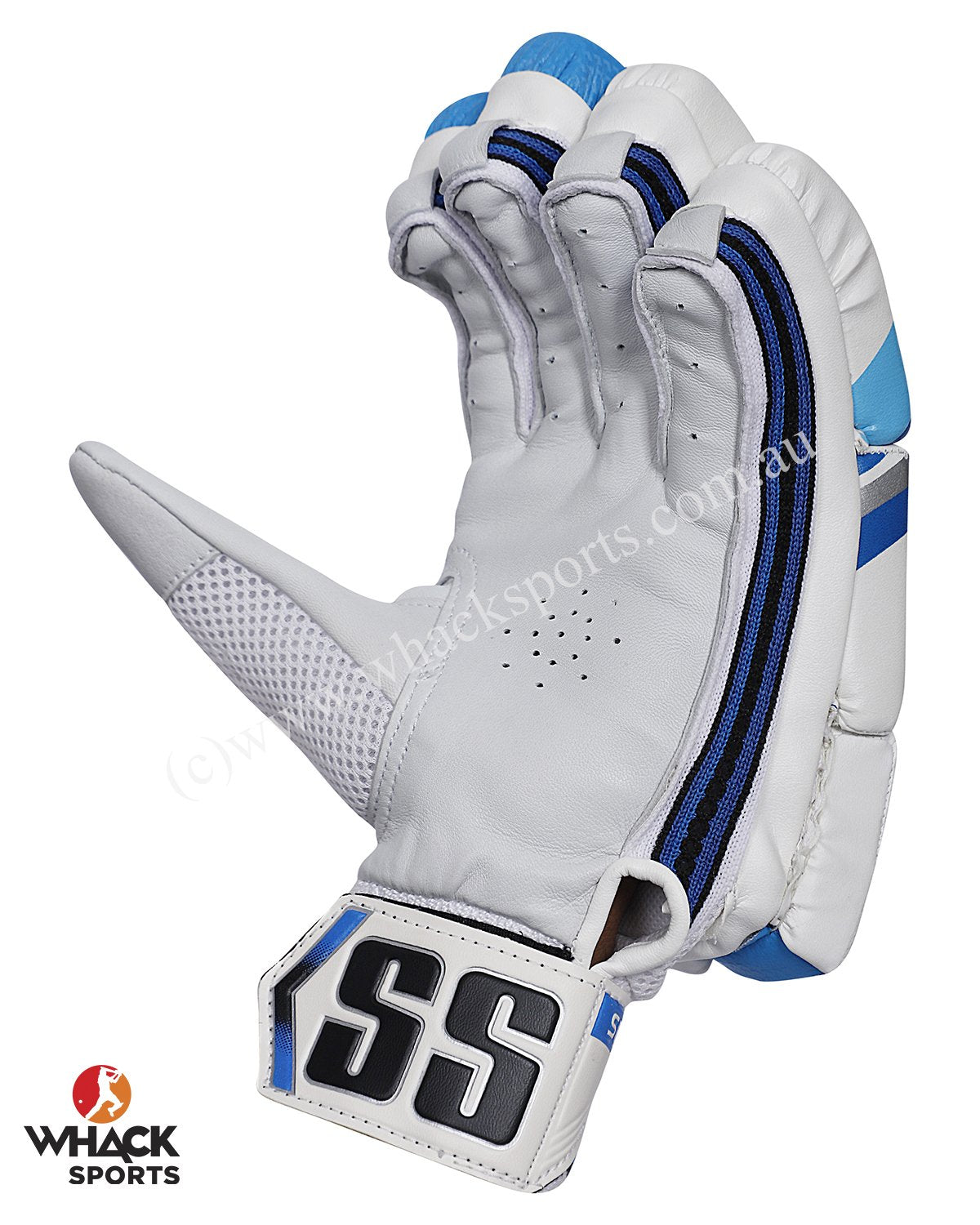 cricket gloves under 100 rupees