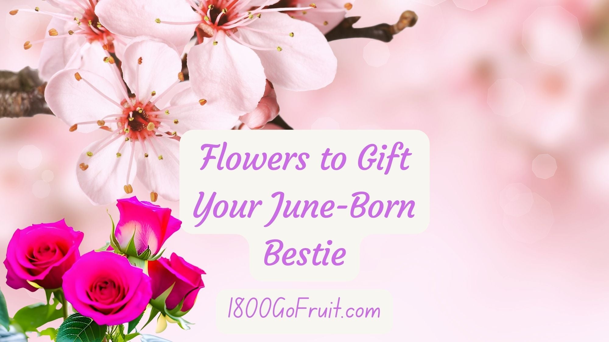 June Born Bestie gifts