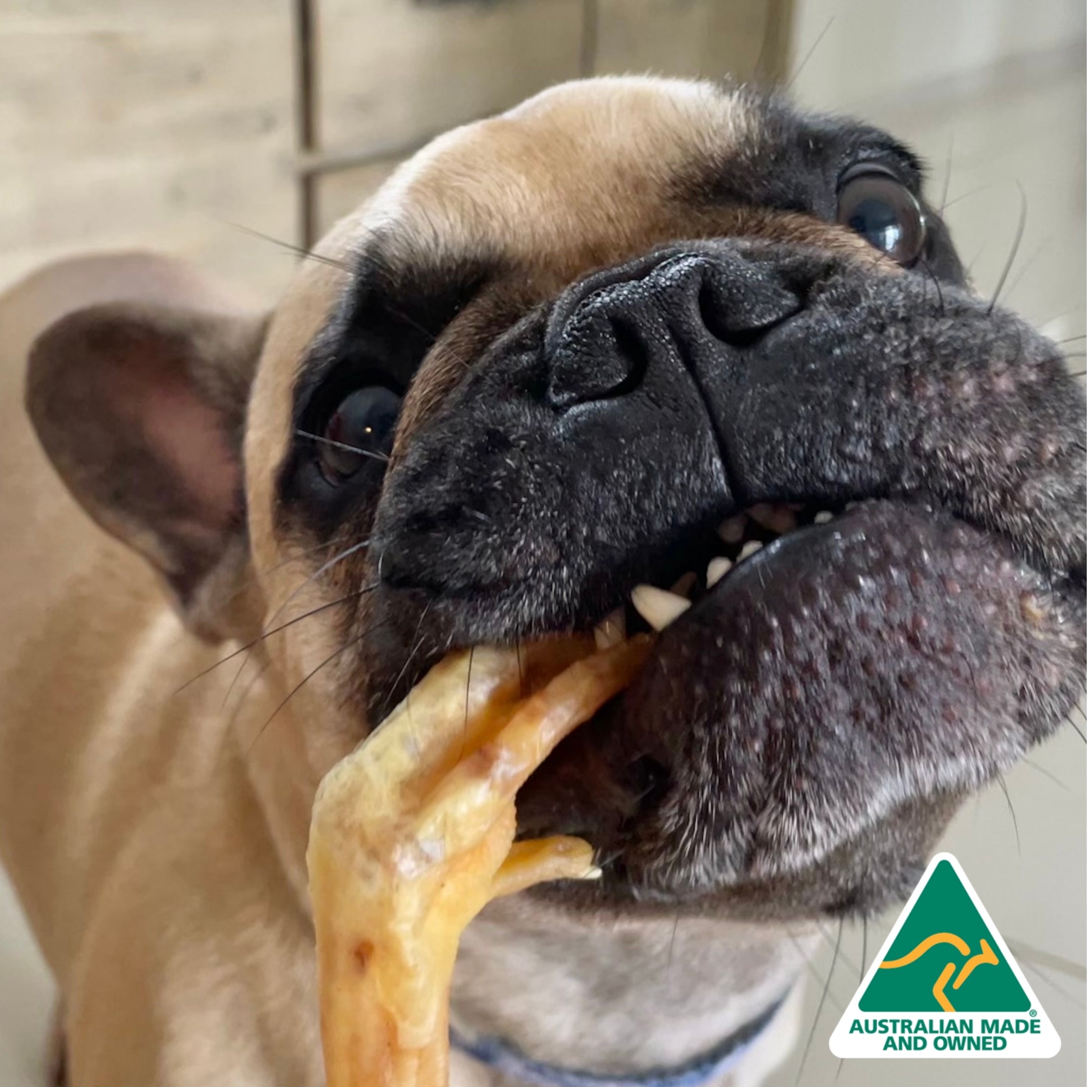 are chicken feet safe for dogs to eat