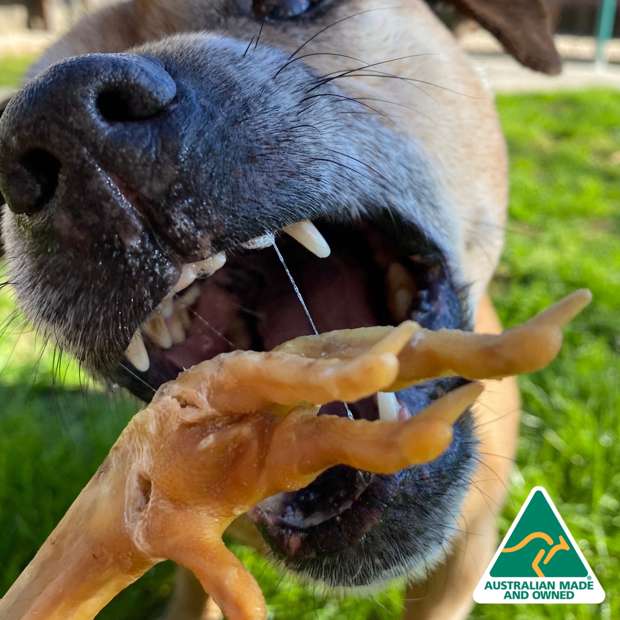 are chicken feet safe for dogs to eat