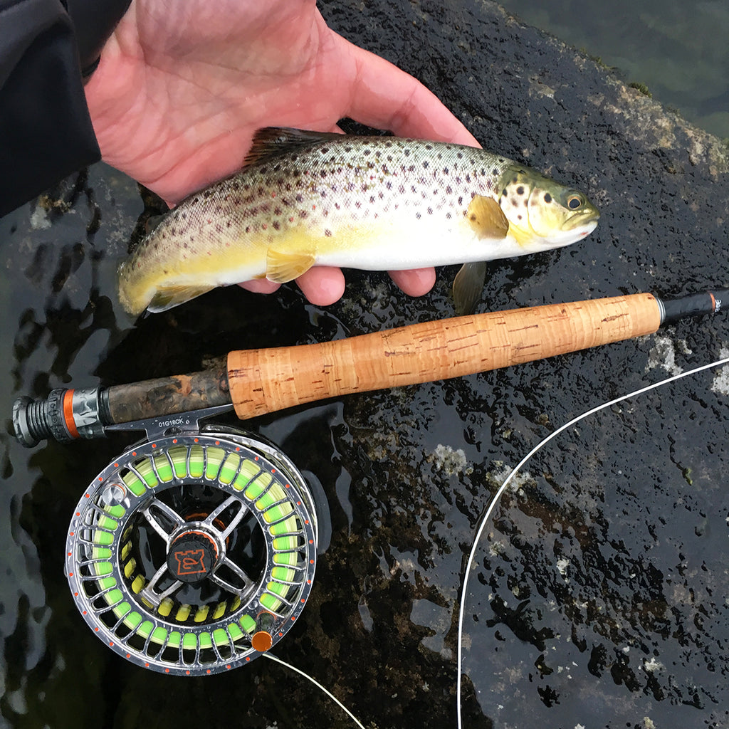 FISKE PÅ HARDANGERVIDDA ØRRET