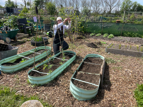 Shannon kneeling next to raised bed putting supports in for young plants