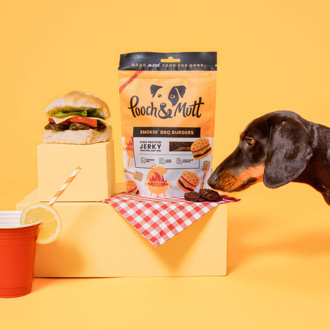 Sausage dog sniffing Smoking BBQ Burger flavour dog treats styled next to a burger in a bun