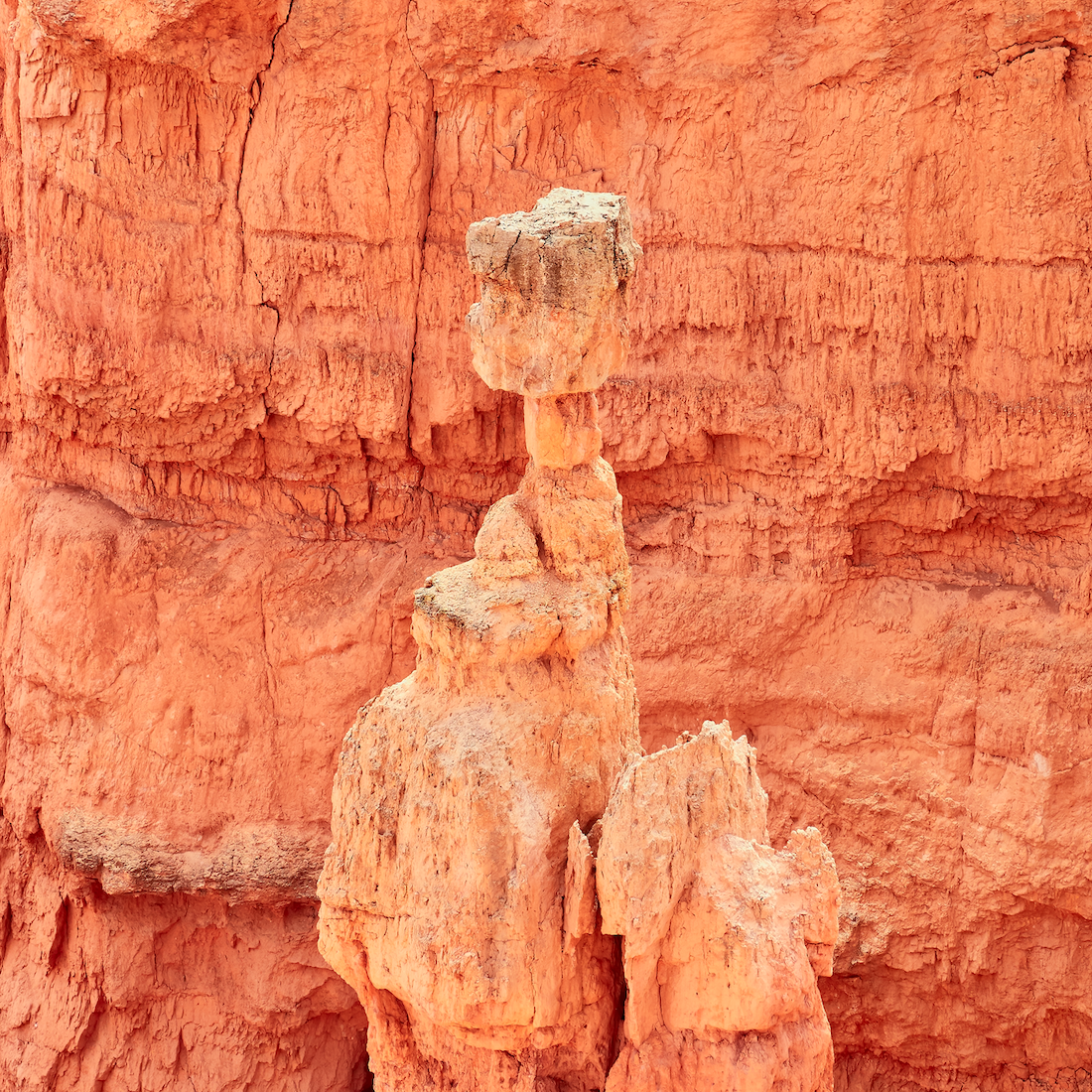 Bryce Canyon in Bryce National Park, Utah, usa