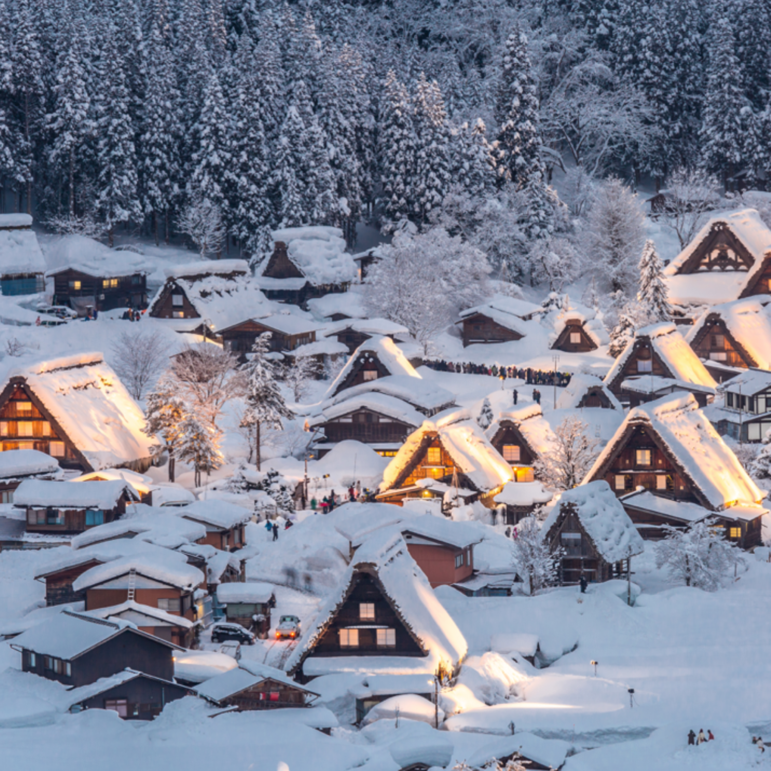 Hütten im Schnee in Shirakawa and Gokayama Village, Ono, Gifu, Japan