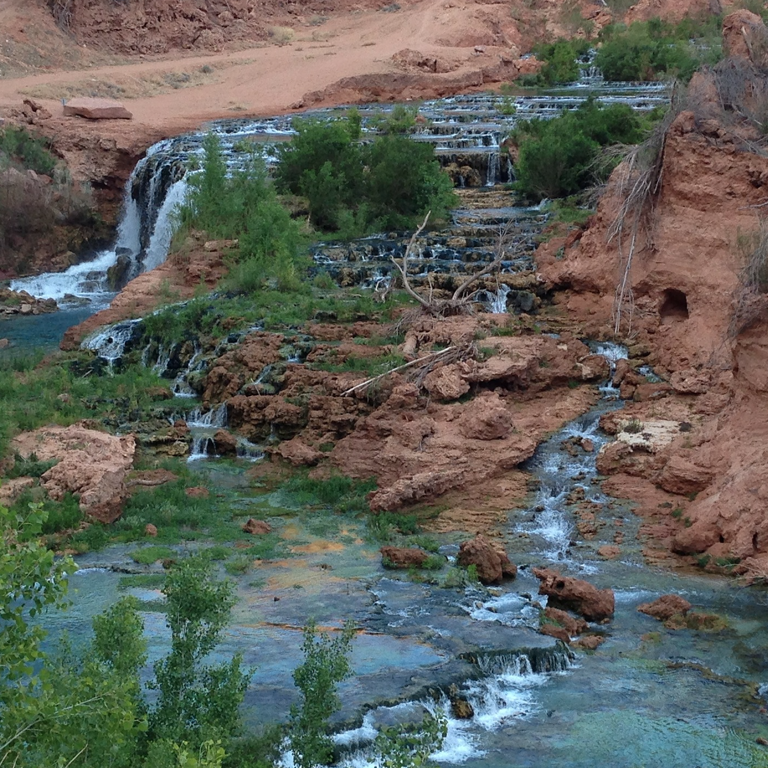 havasu falls, arizona usa