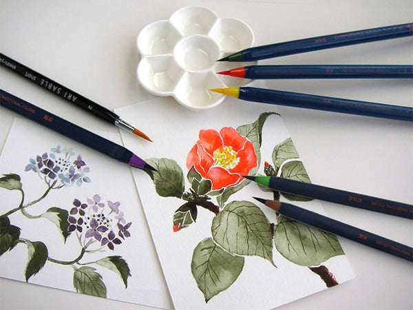 Akashiya Sai Watercolor Brush Pen - 20 Color Set + Drawing Set Bag