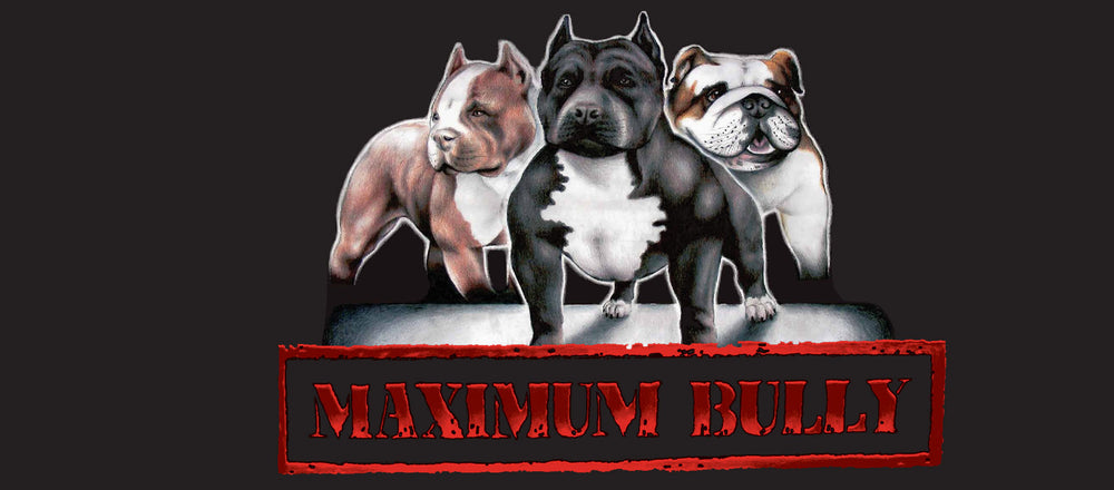 bully performance dog food reviews