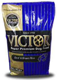 Top 4 Best Dog Food to Feed Your Bully. – Muscle Bully Supplements