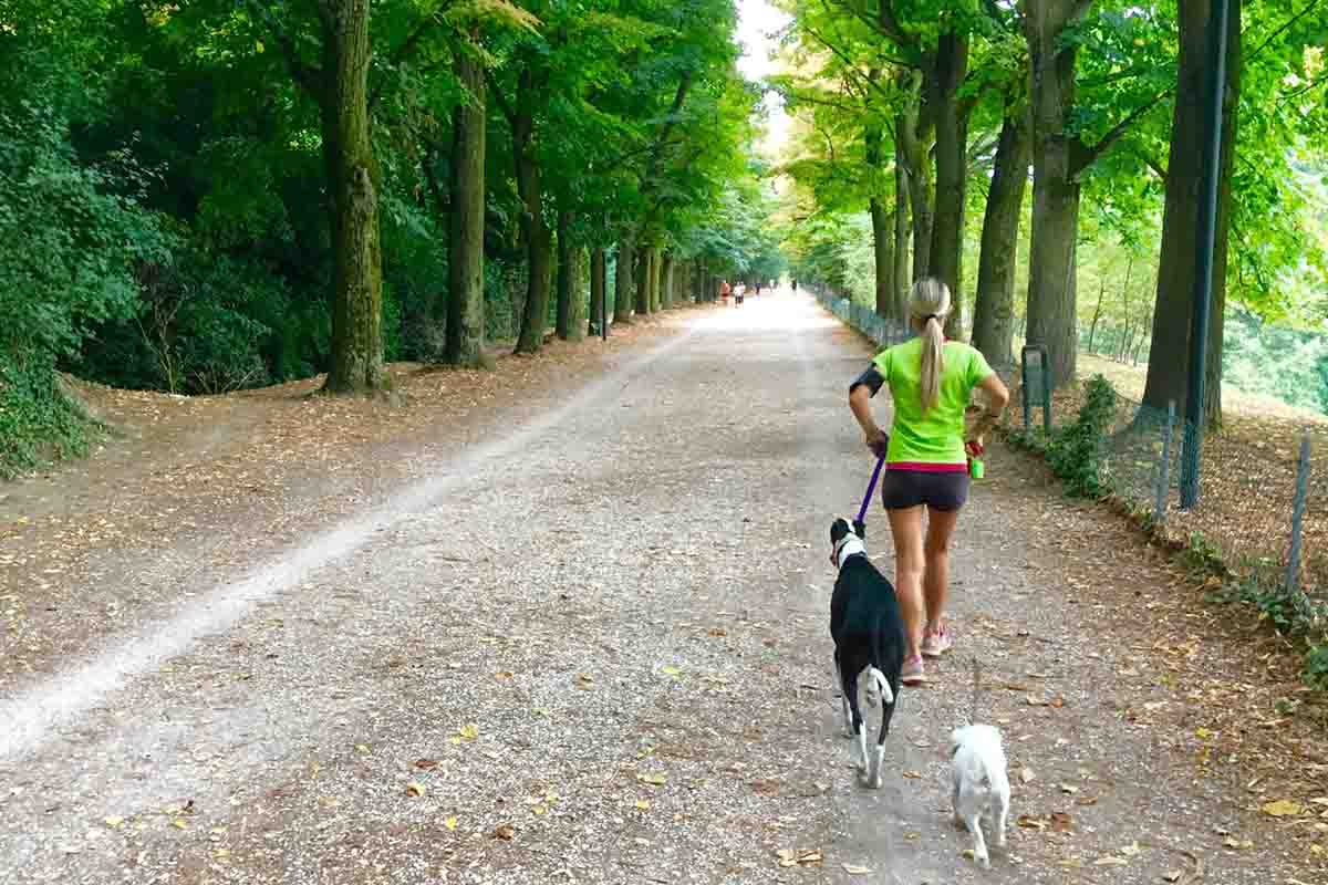 Woman walking with dogs