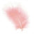 Pink Craft Feathers