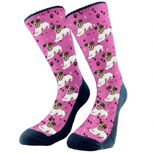 Dog face shop printed on socks