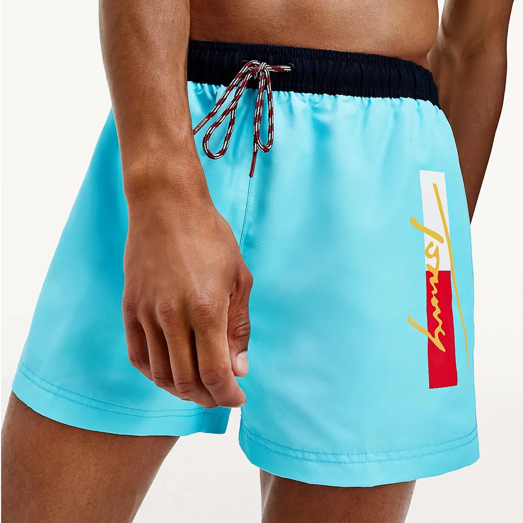 mens tommy hilfiger swim shorts