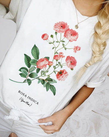 Rosa indica white shirt tee for woman at glacelis for fall shirt for women , winter shirt for women, christmas shirt for women 