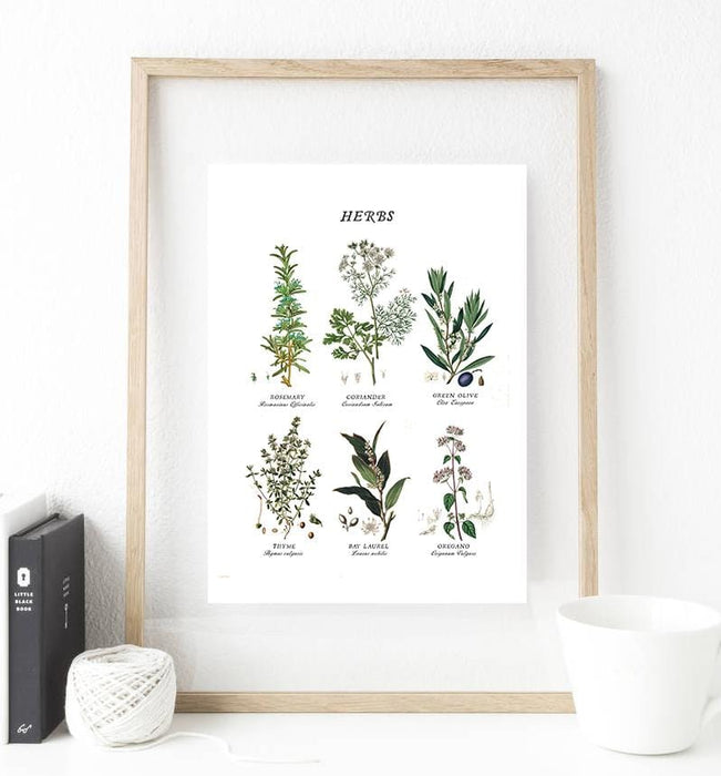 Set of 3 Botanical Print Art — Glacelis