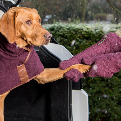 Ruff & Tumble drying mitts perfect for paws