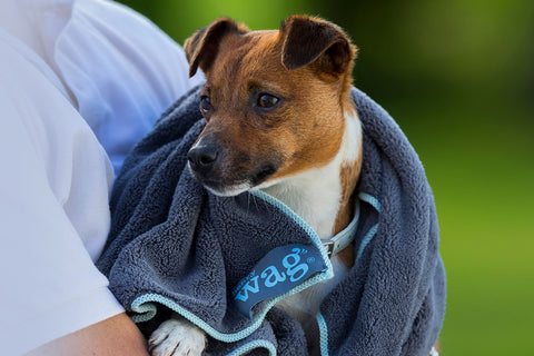 Henry wag microfibre pet towel