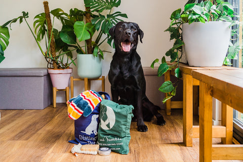 Muddy Dog Survival Kit with Ruff & Tumble Drying coat & Mitts