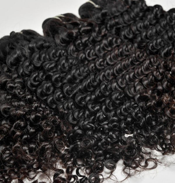 Brazilian Curly Jvh