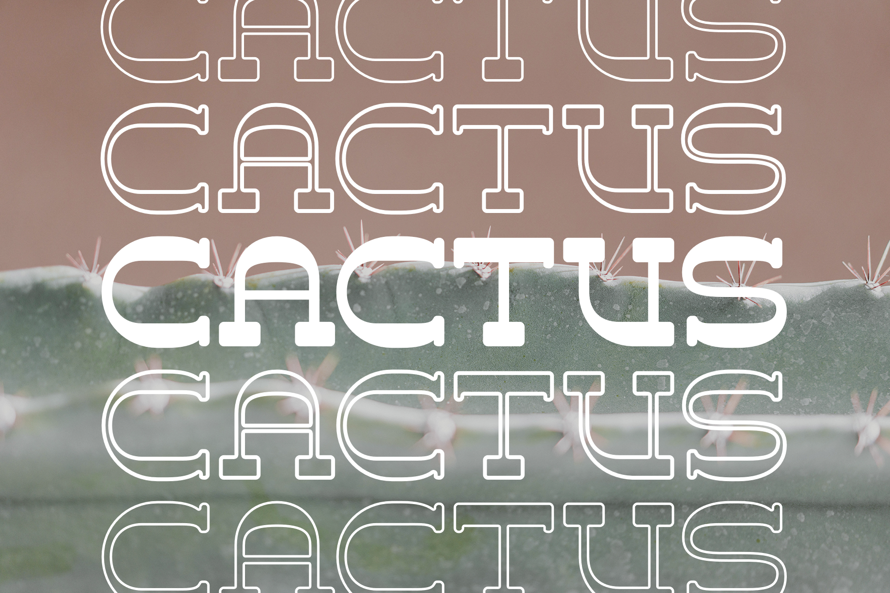 Harlon - Slab Serif Typeface