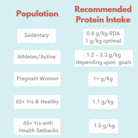 protein needs for older adults, pregnant women, athletes, and sedentary individuals