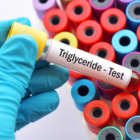 what are triglycerides