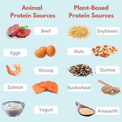 examples of animal and plant-based proteins