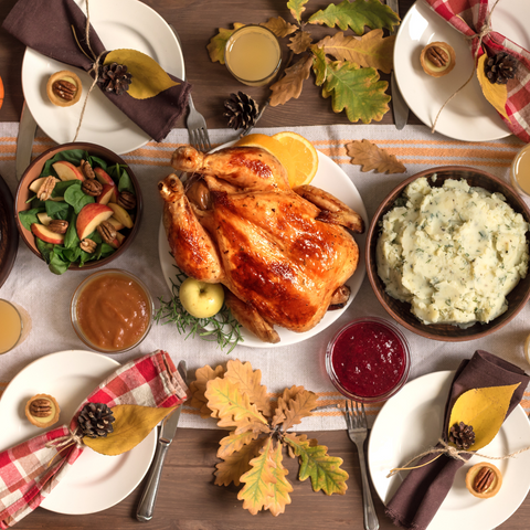 thanksgiving turkey and sleep