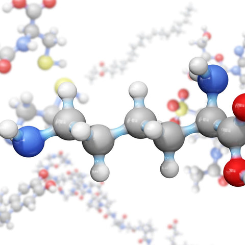 what is lysine