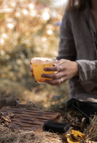 flavour Blaster™️ autumn cocktail recipes