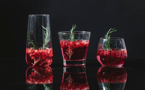 flavour Blaster™️ autumn cocktails cranberry