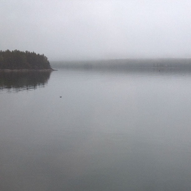 Maine Coast Fog