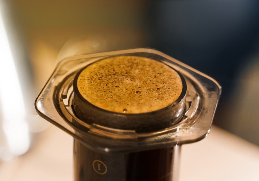 Aeropress brewing_Canva