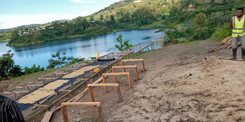 Coffee drying beds on the shores of Lake Kivu