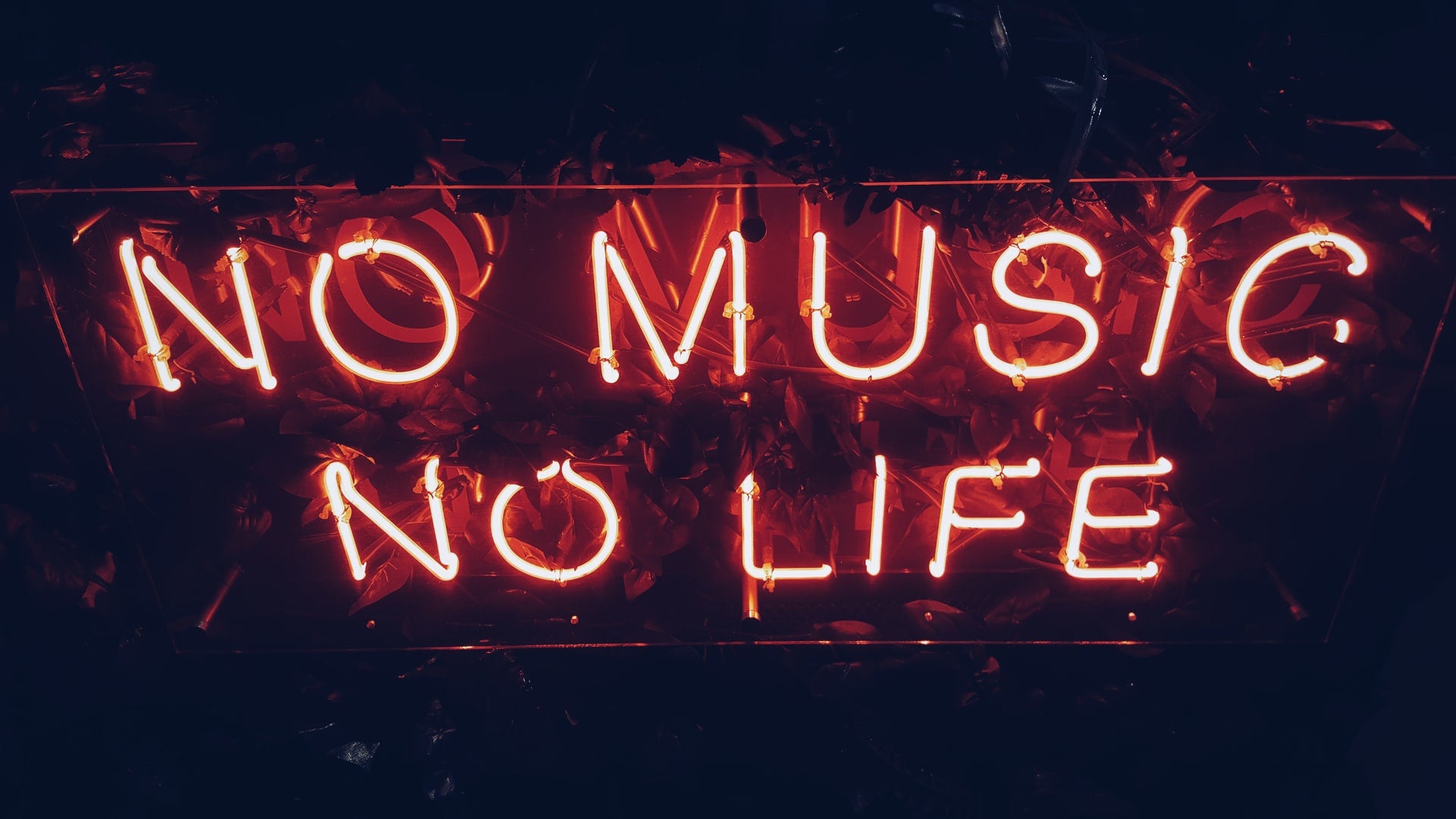 Neon light that says NO MUSIC, NO LIFE